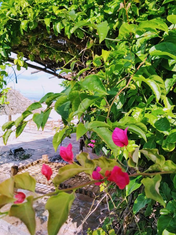 Panga Chumvi Beach Resort Матемве Екстериор снимка